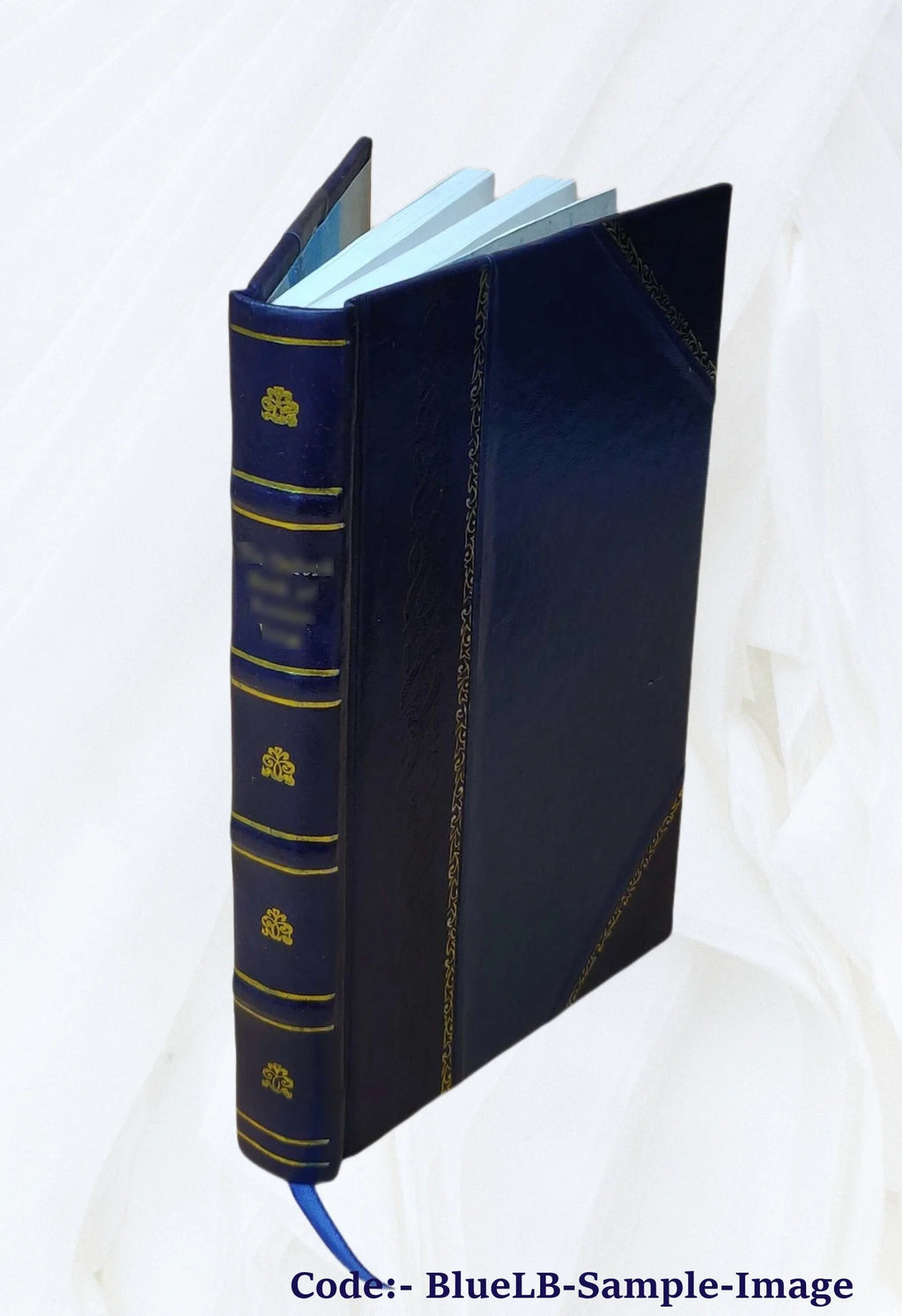 Leather Bound Book K335429