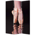 Multi Color Wood Canvas Ballet Screen E604790