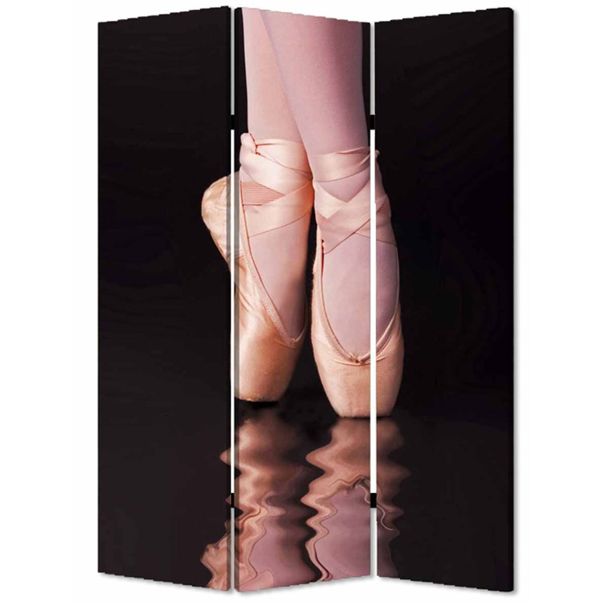Multi Color Wood Canvas Ballet Screen E604790