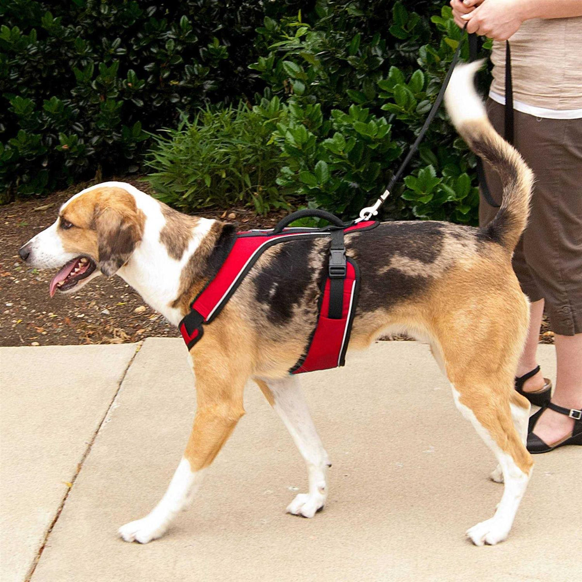 Dog Harness A1628