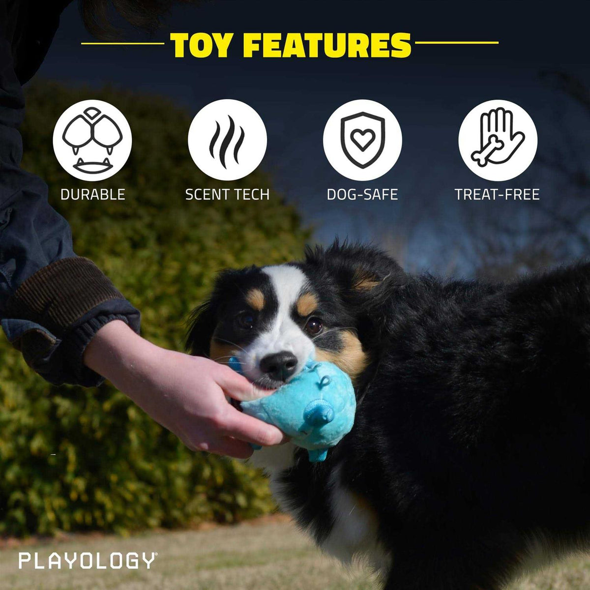 Sensory Ball Dog Toy H35766