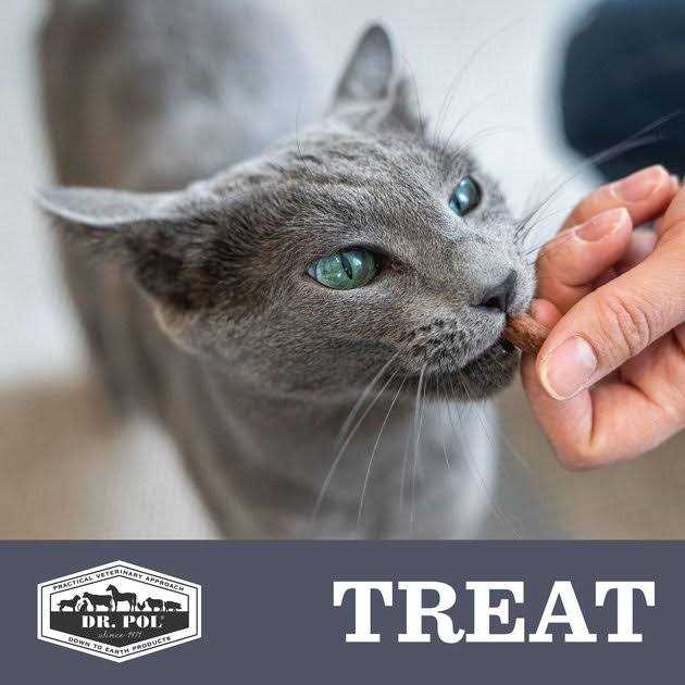 Freeze Dried Salmon Dog Treat and Meal Topper B951984