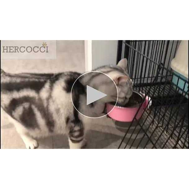 Stainless Steel Dog Crate Bowl W7852