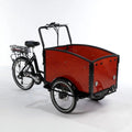 Electric Dutch Cargo Tricycle Bike H318115