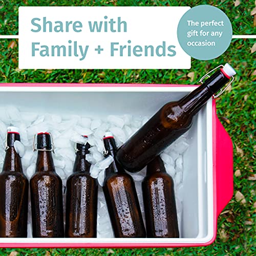 Swing Top Glass Bottles Set of 6, 16oz Clear with Caps C123