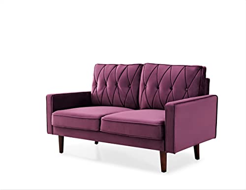 Tufted Velvet Couch, 57.5'' Wide Loveseat F9666