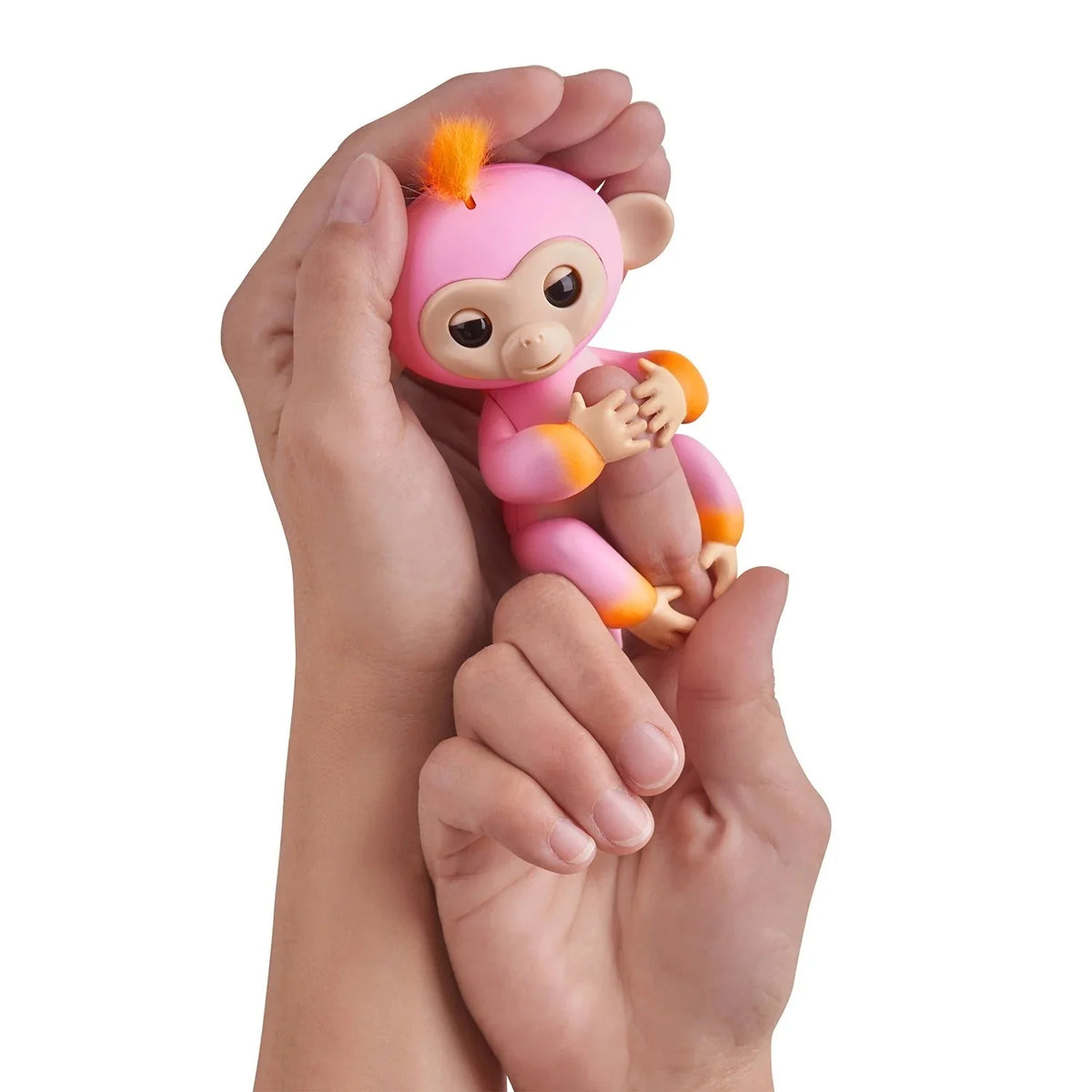 2Tone Monkey Interactive Pet R826