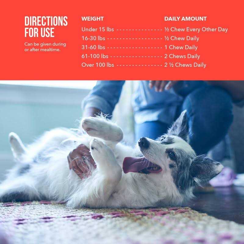 Soft Chews Joint Supplement for Dogs A30483