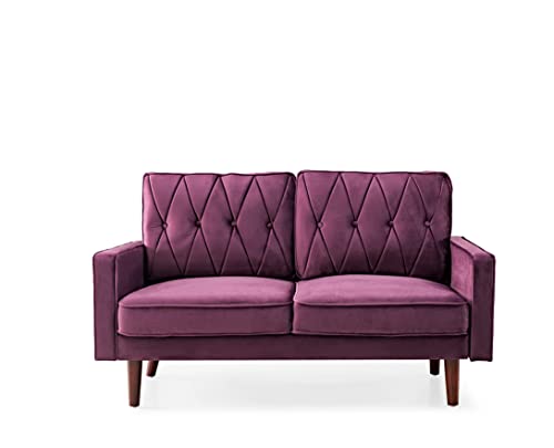 Tufted Velvet Couch, 57.5'' Wide Loveseat F9666