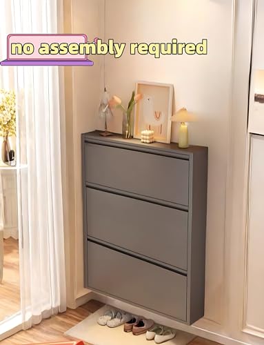 Black Grey Shoe Cabinet with 3 Flip Drawers Y2226