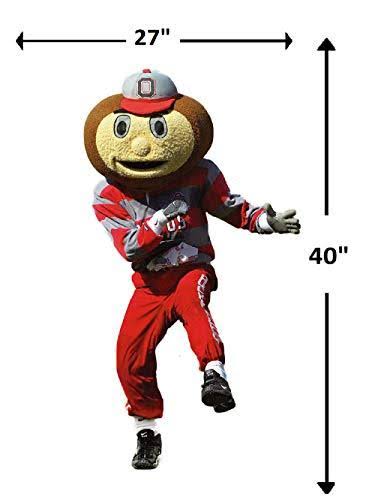 Ohio State Buckeyes Mascot R868