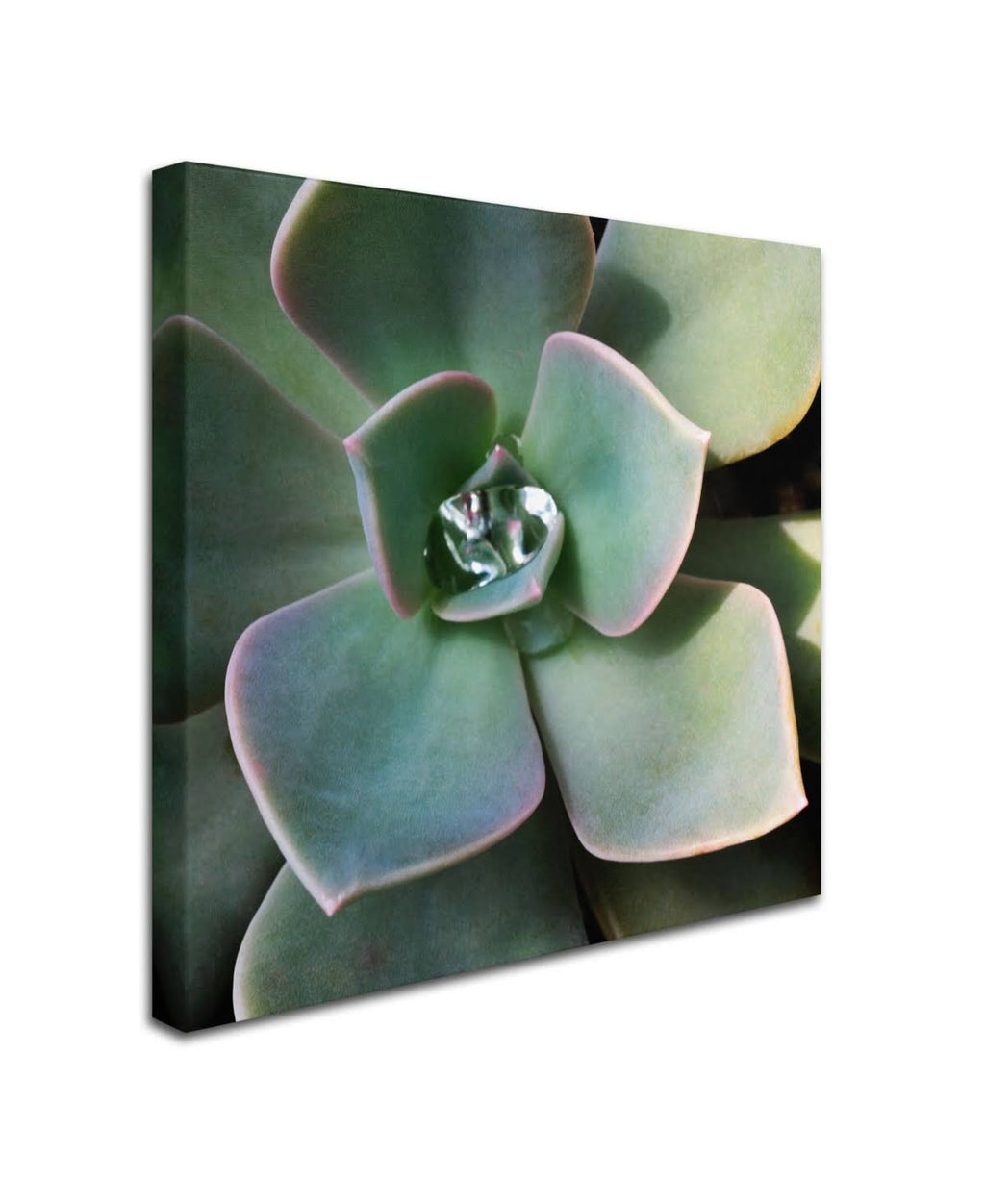 Canvas Art X933946
