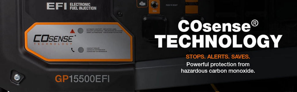 Gas Powered Portable Generator O6663