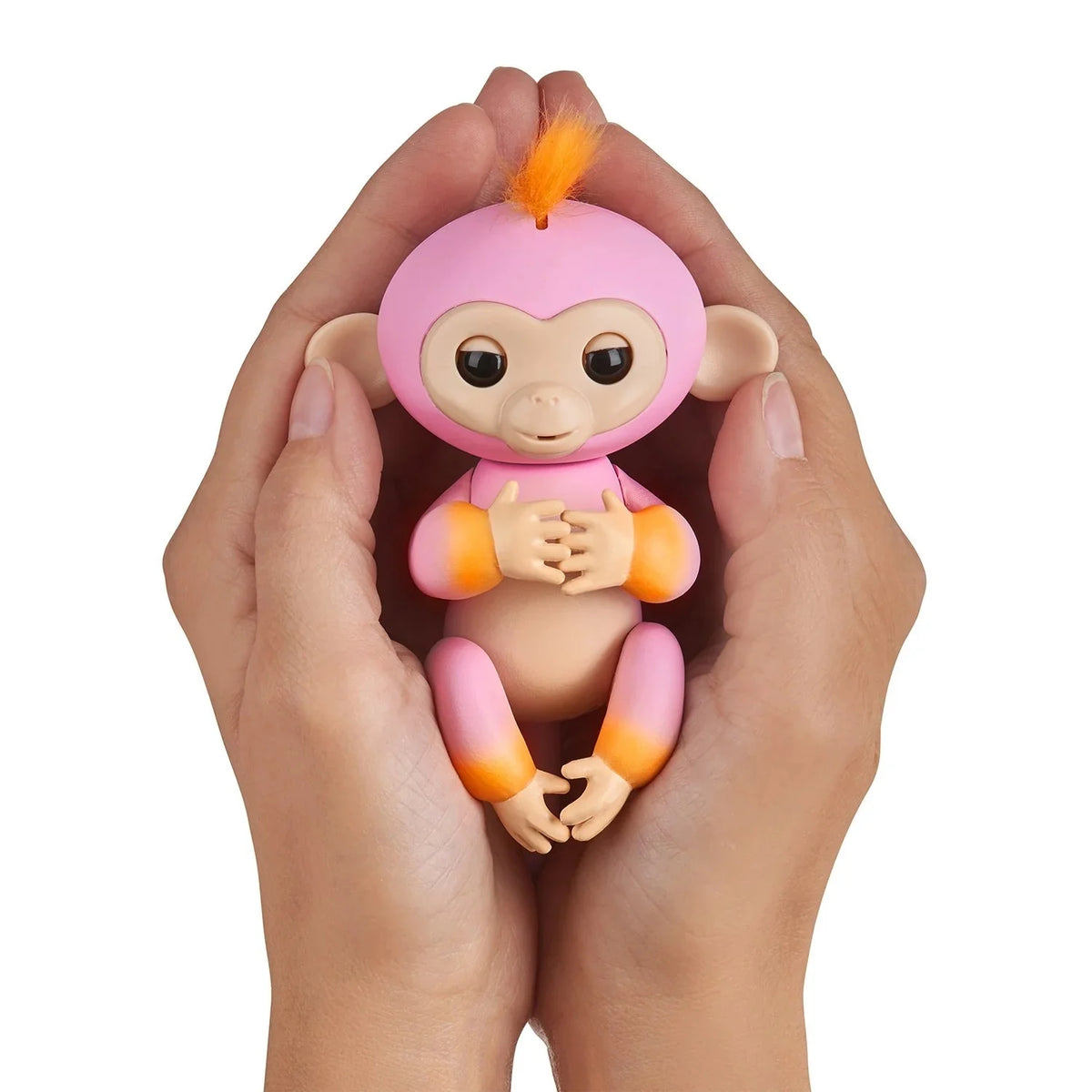 2Tone Monkey Interactive Pet R826