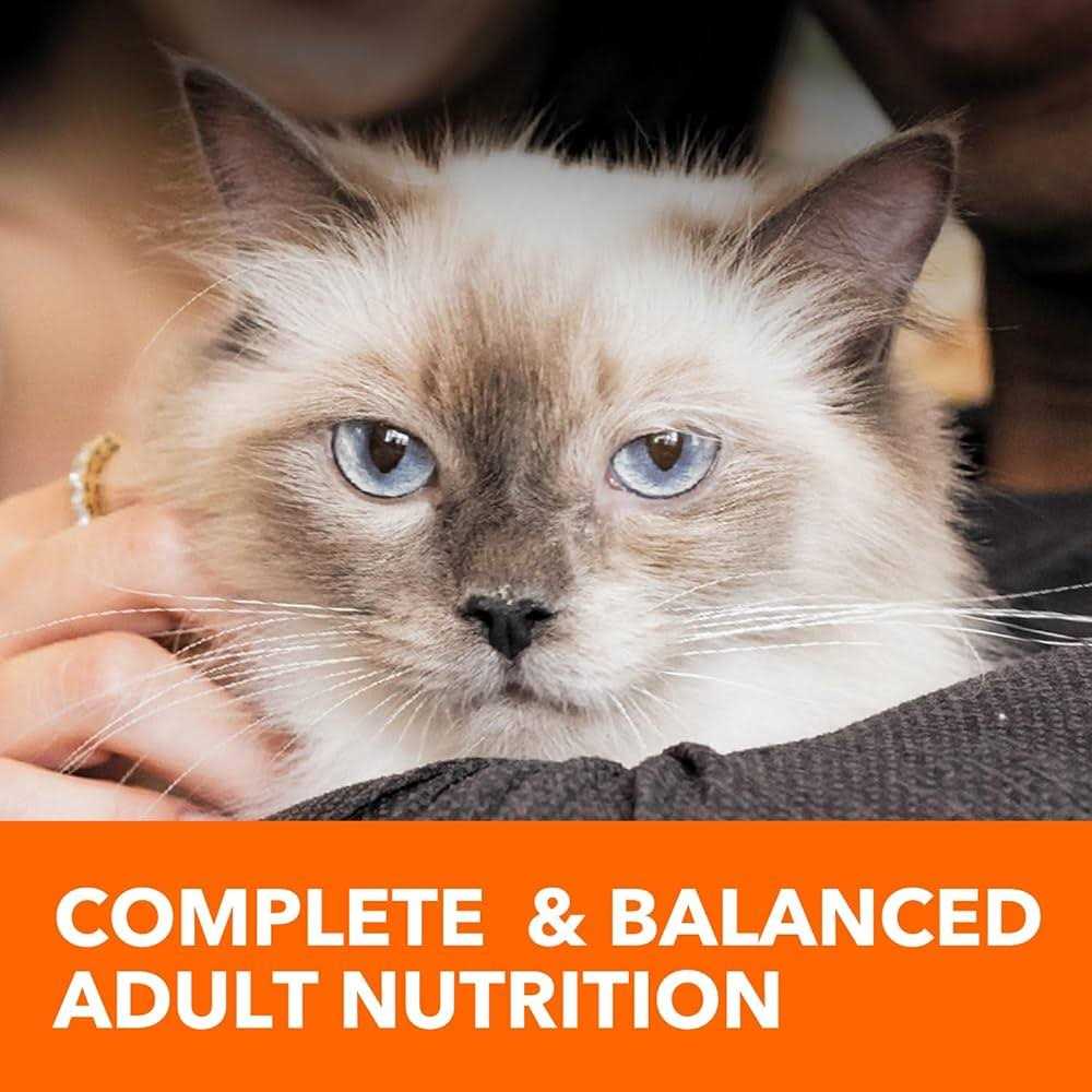 Sensitive Digestion & Skin Dry Cat Food J67850