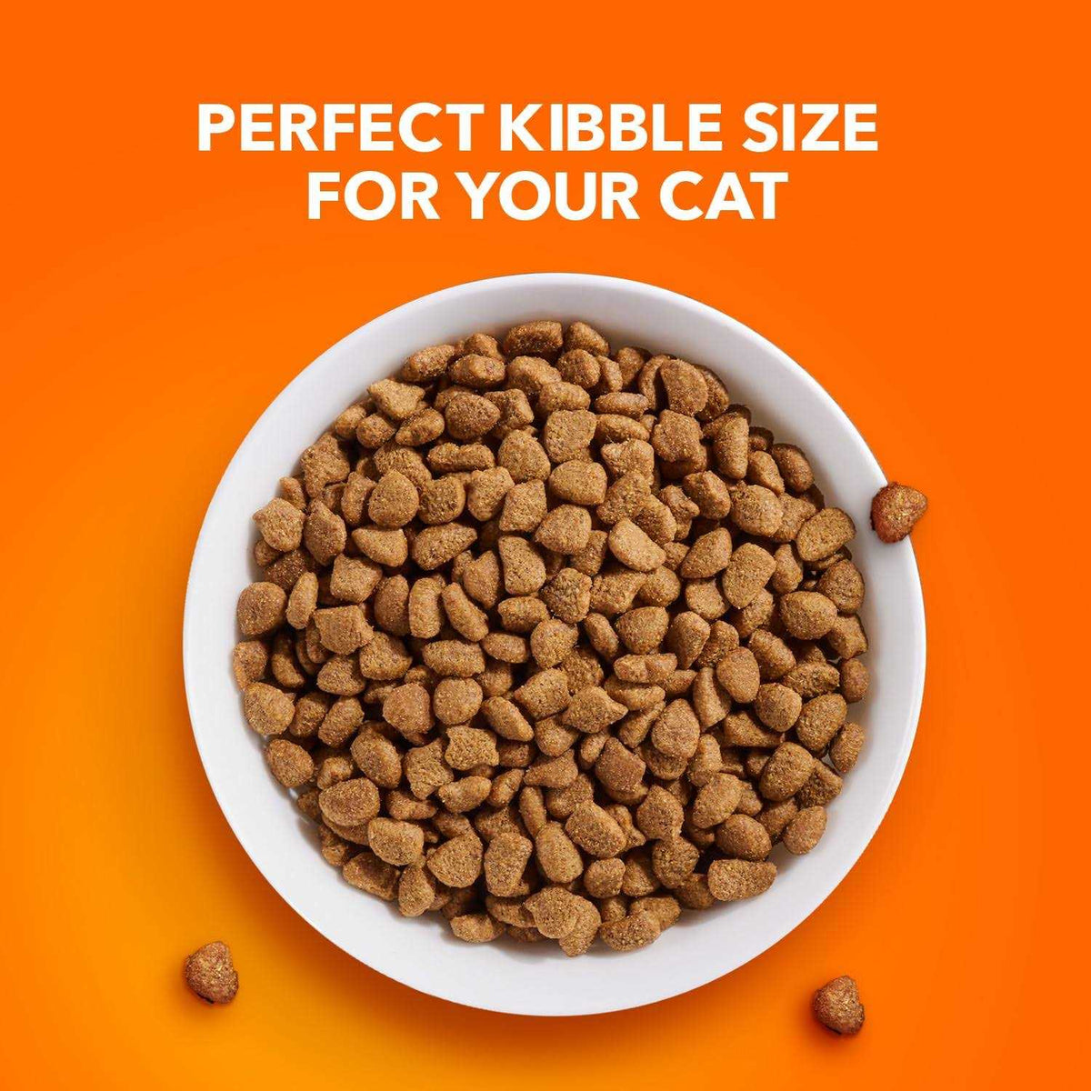 Sensitive Digestion & Skin Dry Cat Food J67850