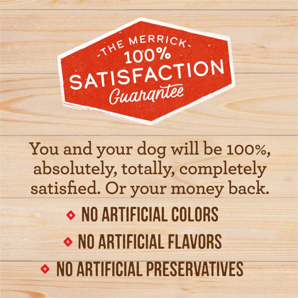 Grain Free Dry Dog Food H9549