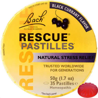 Black Currant Pastilles 50g O9585