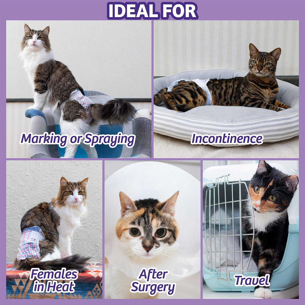 Disposable Cat Diapers K51816