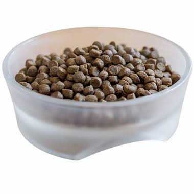 Active Dry Dog Food G613