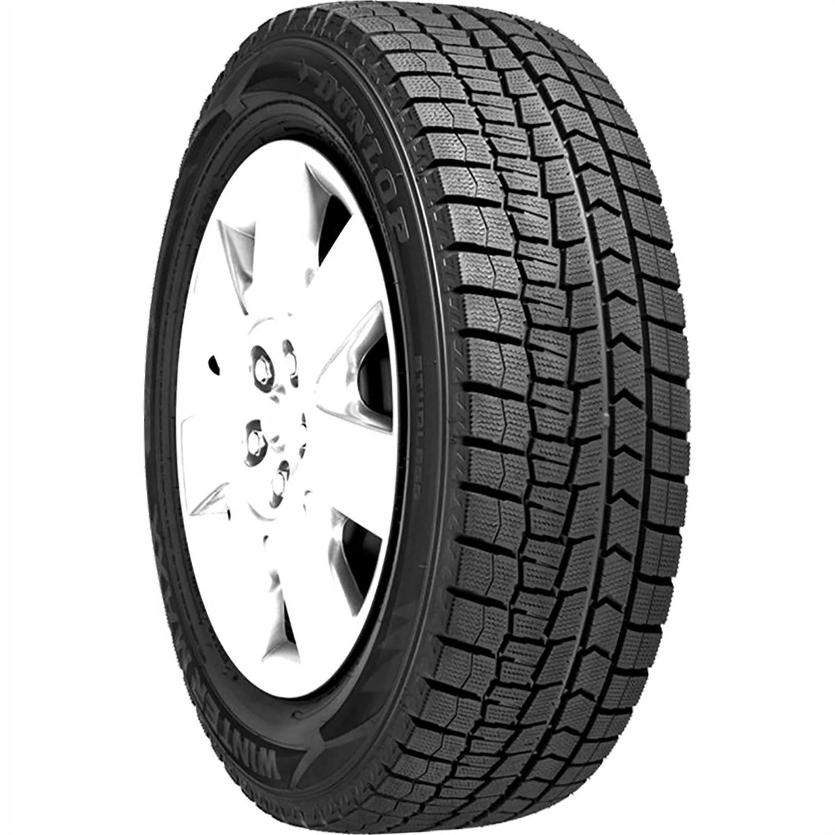 205/65R16 95T Winter Tire R956