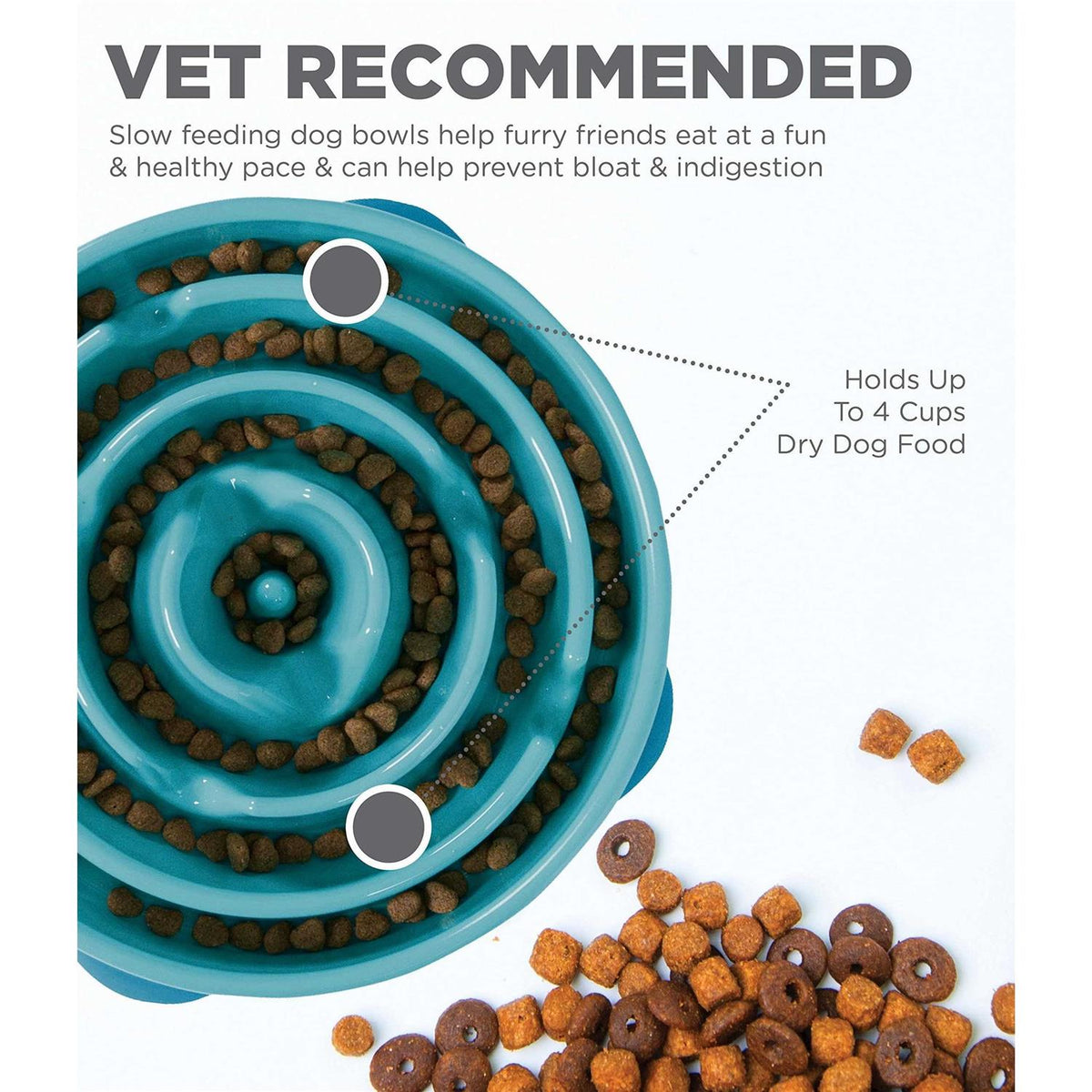 Fun Feeder Dog Bowl Z239348