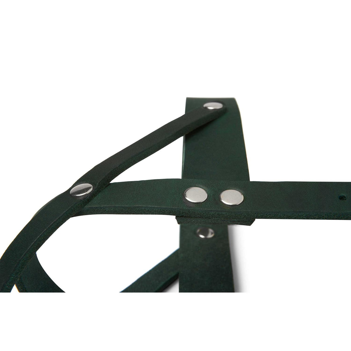 Leather Dog Harness U285819