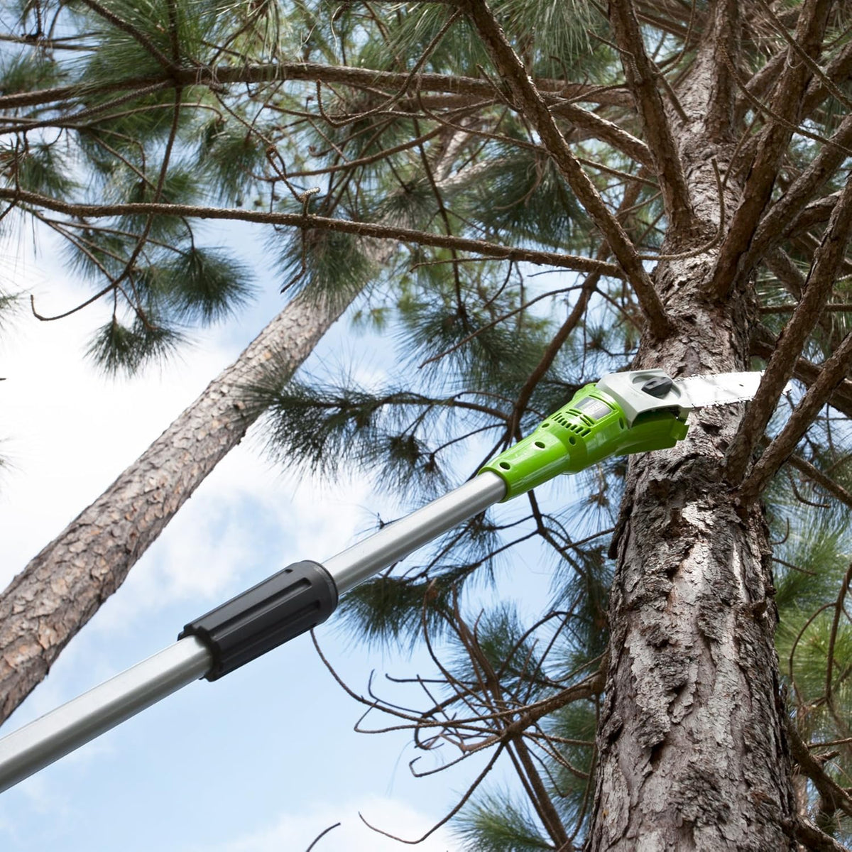 40V 8-Inch Cordless Pole Saw, Pack of 2 T7392