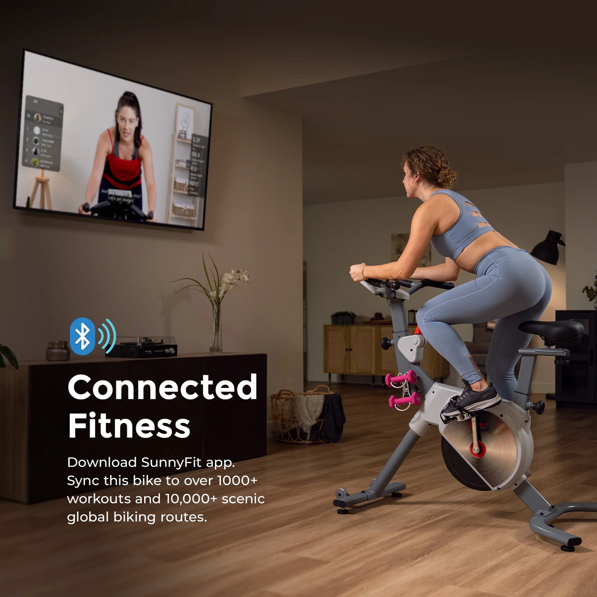 Indoor Cycling Bike C412043