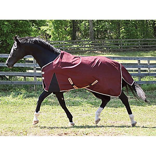 Standard Neck Turnout Sheet W15254