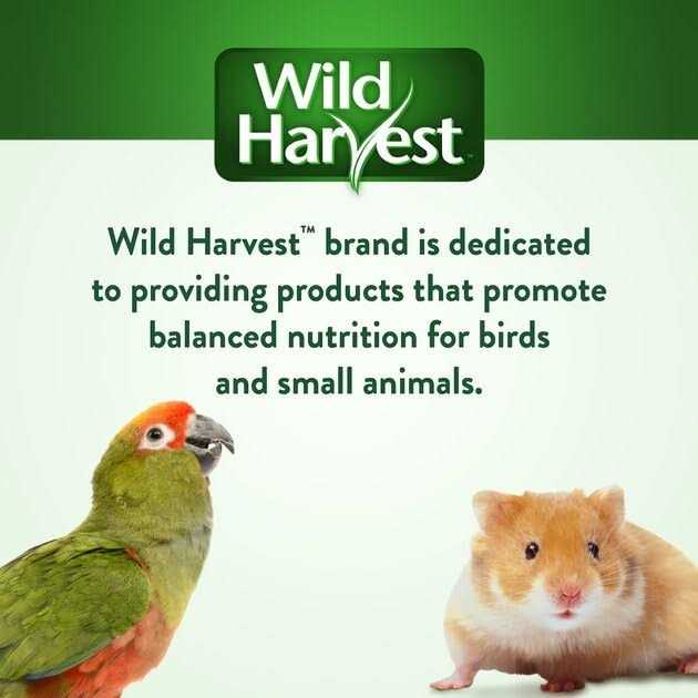 Universal Blend Birds Pet Supplies J416893