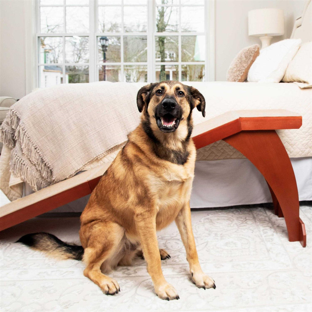 Pet Ramp Y6299