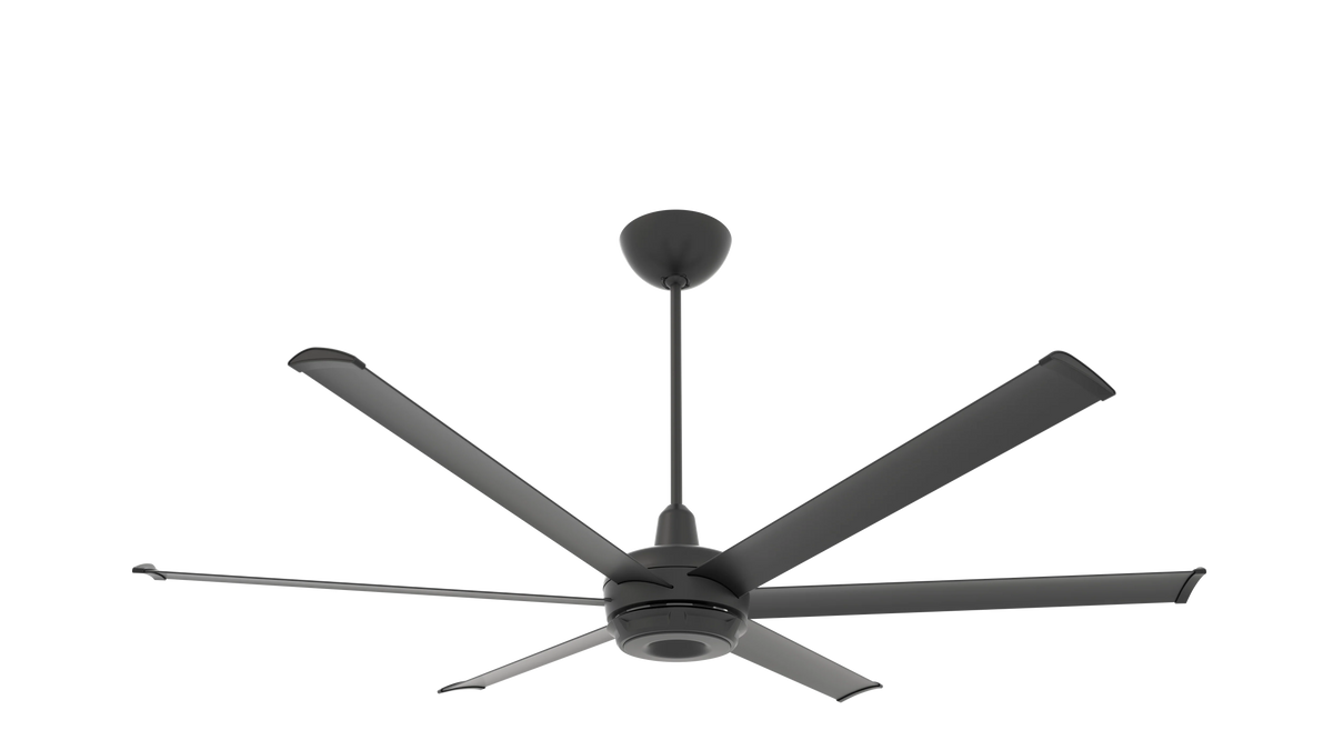 Black Ceiling Fan O683