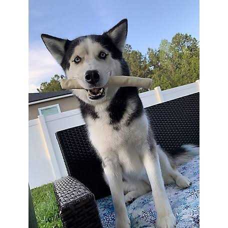 All Natural Rawhide Rolls Dog Chew Treats X813972