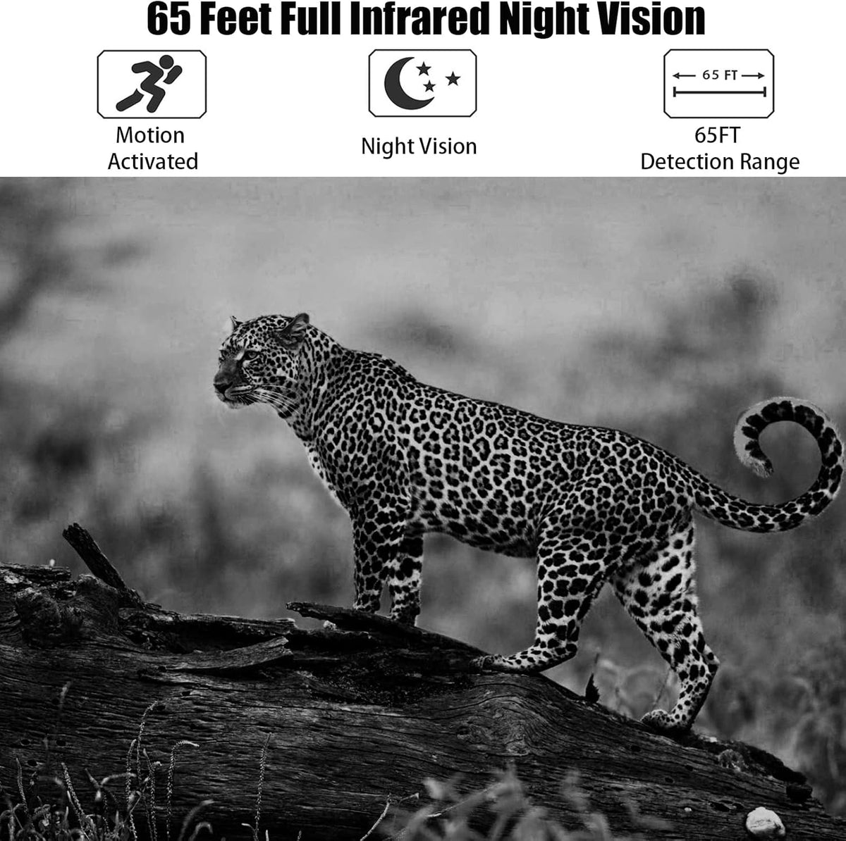 32MP 4K Night Vision Trail Camera with 32G Card & 8AA Batteries A55565