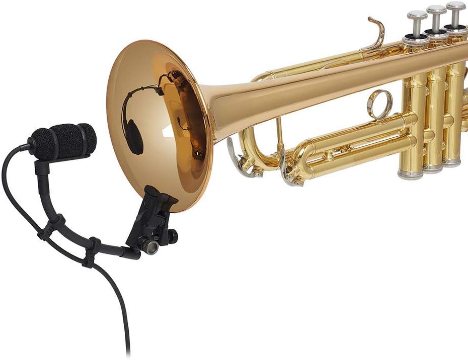 Clip-On Instrument Microphone H969470