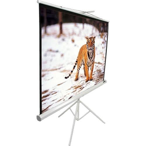 Portable Tripod Screen X810