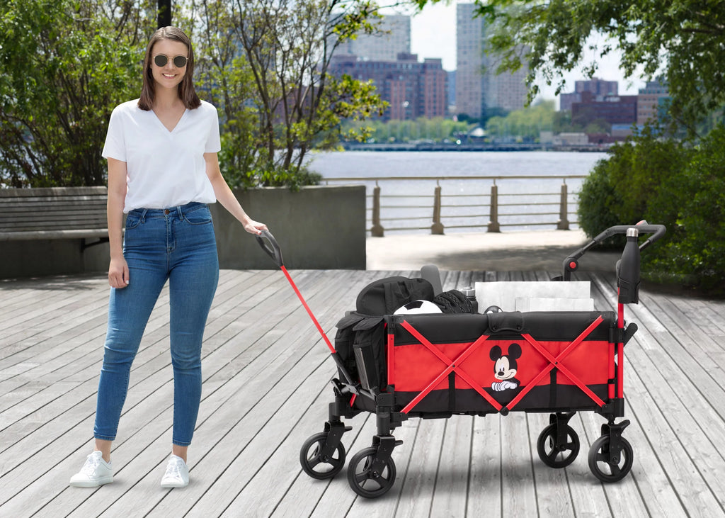 Stroller Wagon N400016