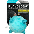 Sensory Ball Dog Toy H35766