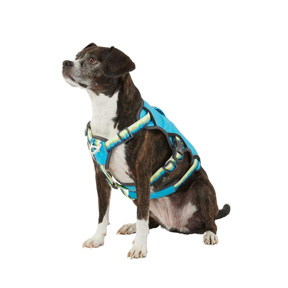 LED Dog Harness J7196