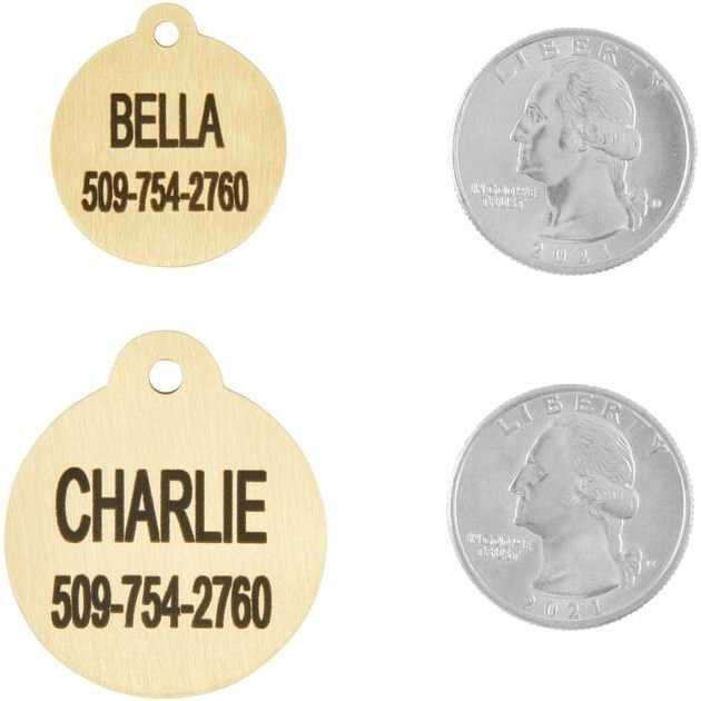 Brass Personalized Dog & Cat ID Tag Q605727
