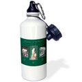 Sports Water Bottle 21 oz B9798