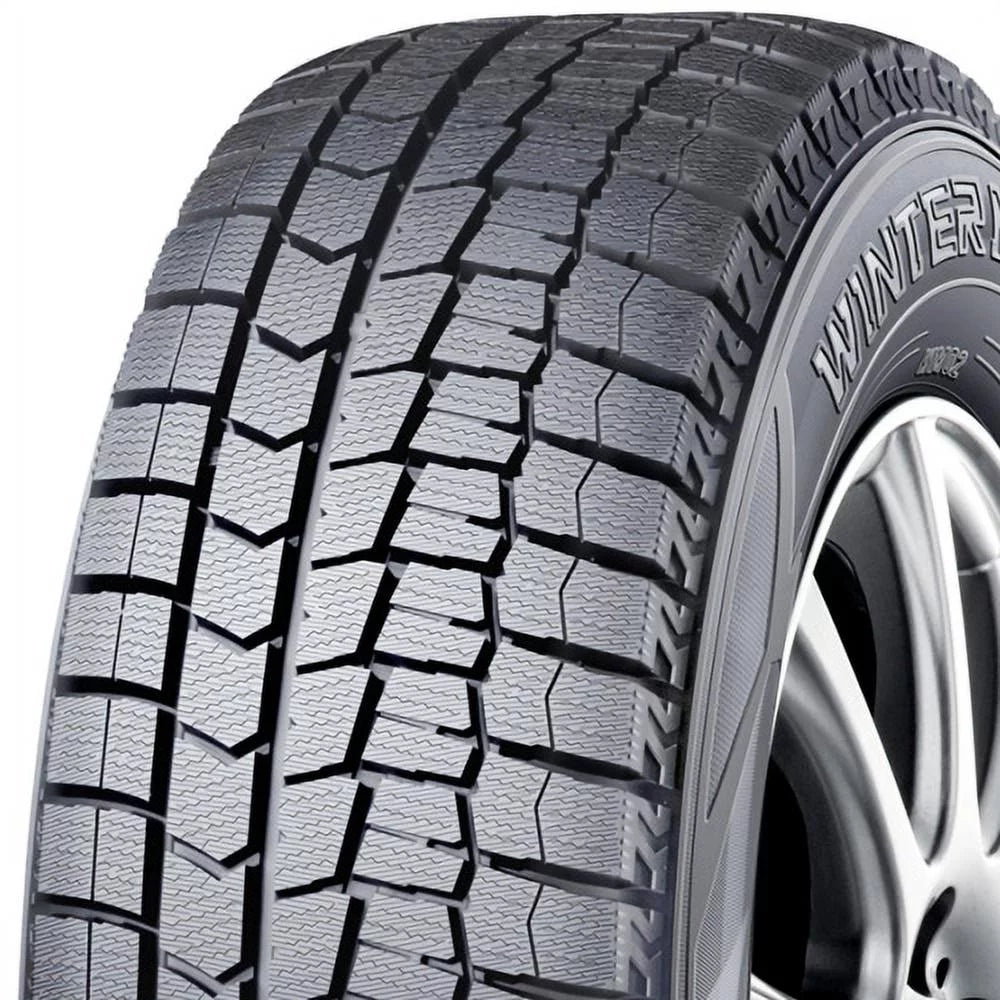 205/65R16 95T Winter Tire R956