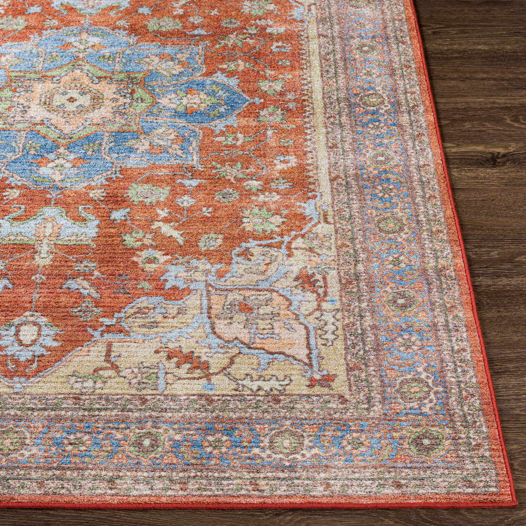Burnt Orange Traditional Area Rug Y28699