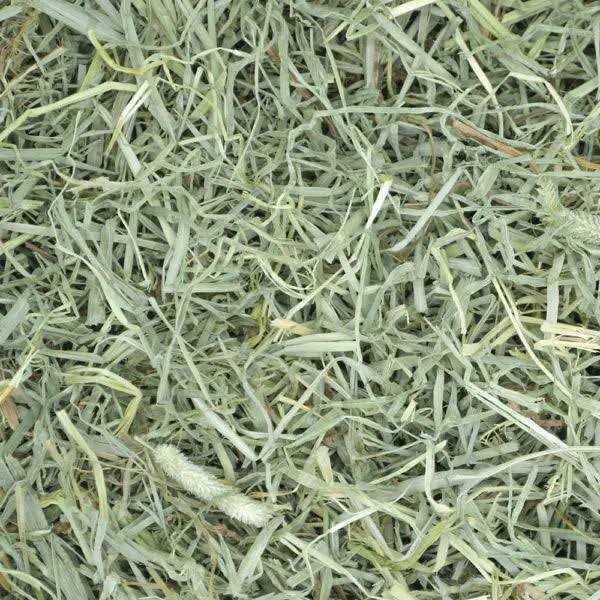 Timothy Hay Small Pet Food H972483