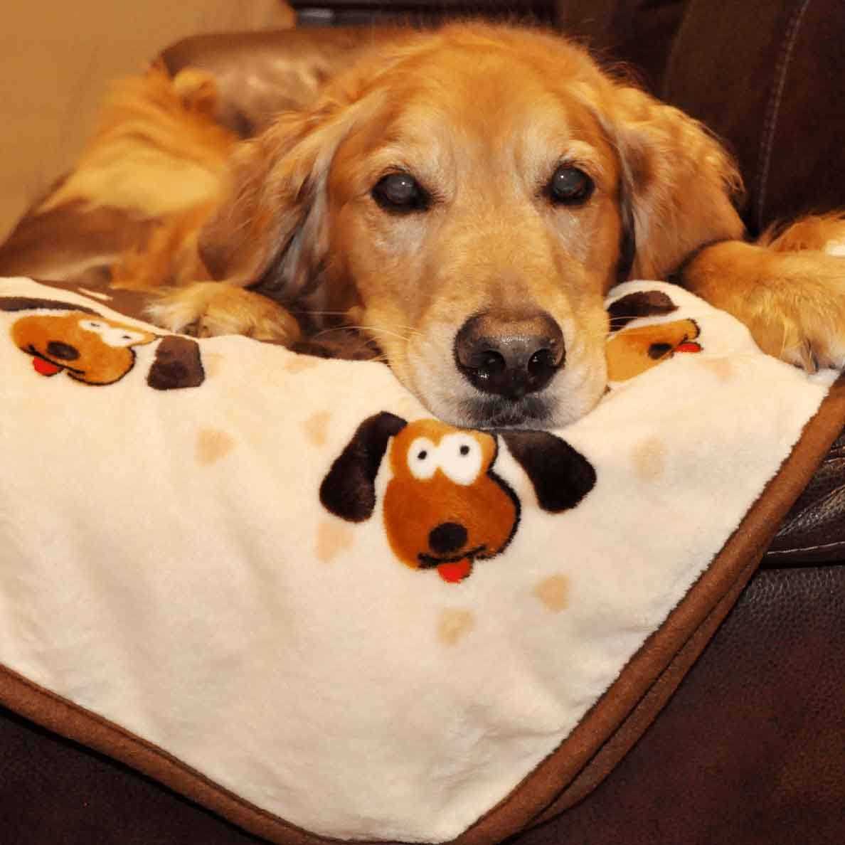 Blanket for Pets T488421