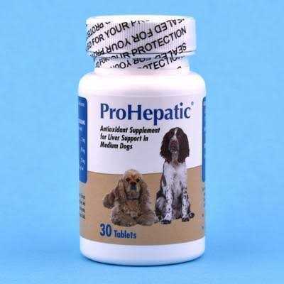 Liver Support Chewable Tablets Dogs Z32577